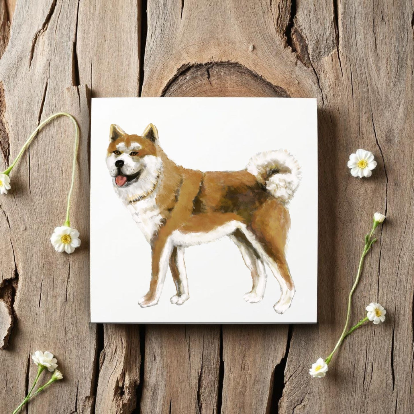 Akita Inu Ceramic Tile - MerikaArt