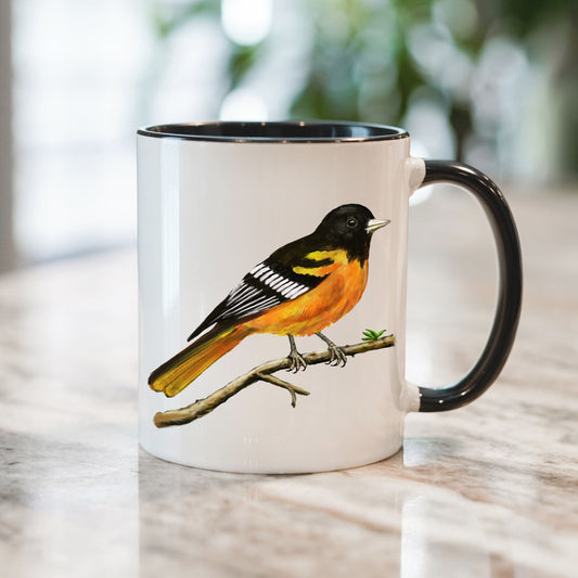 Baltimore Oriole Mug - MerikaArt