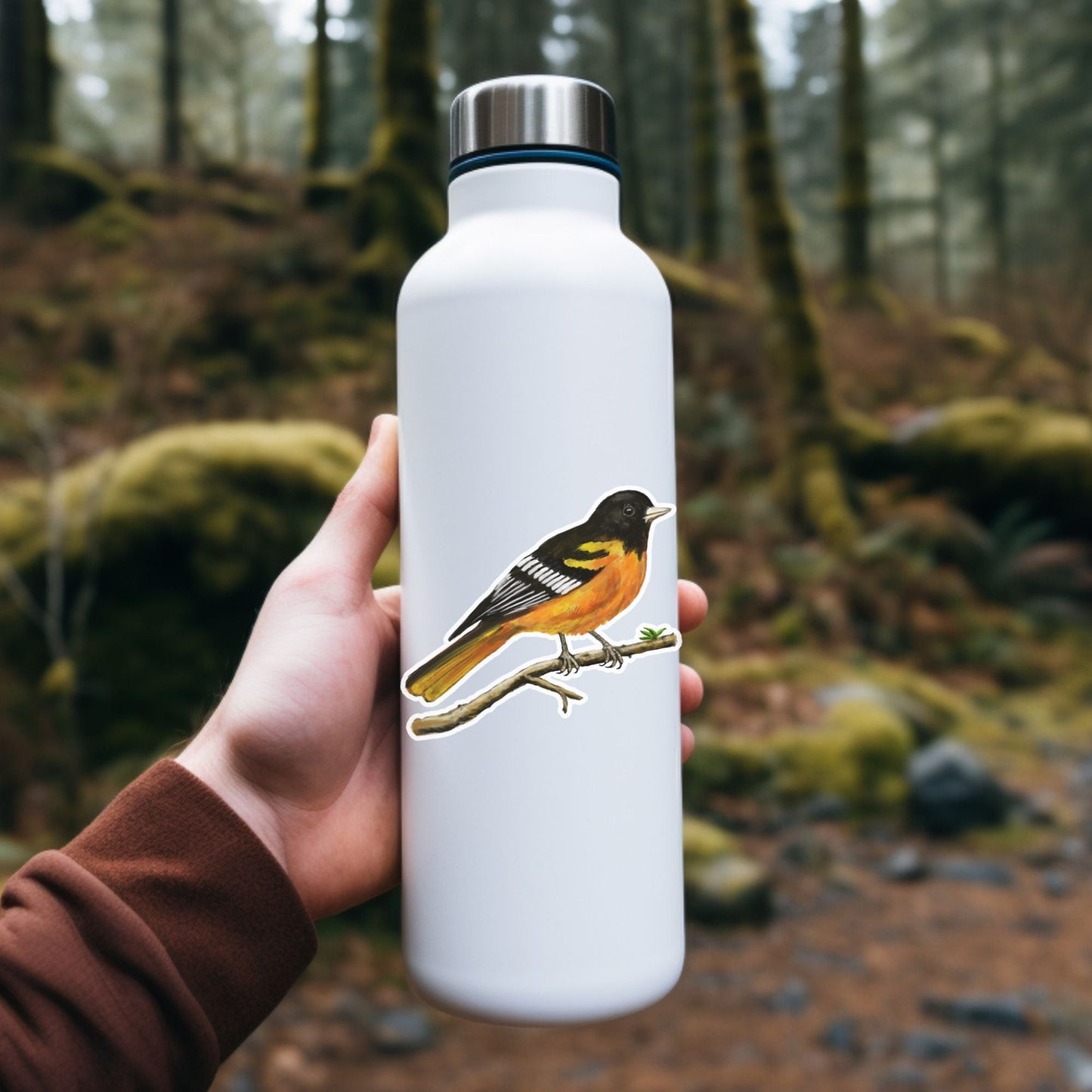 Baltimore Oriole Sticker - MerikaArt