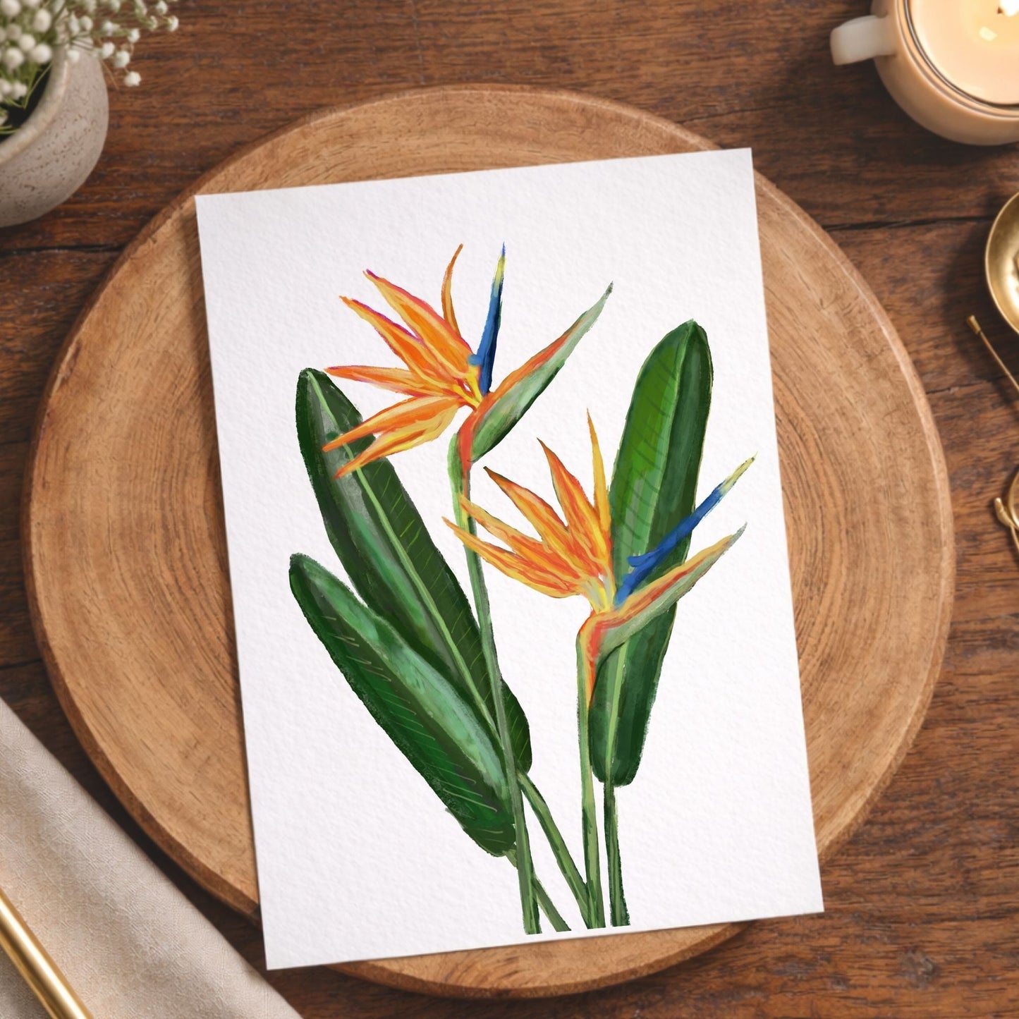 Bird of Paradise Flower Postcard - MerikaArt
