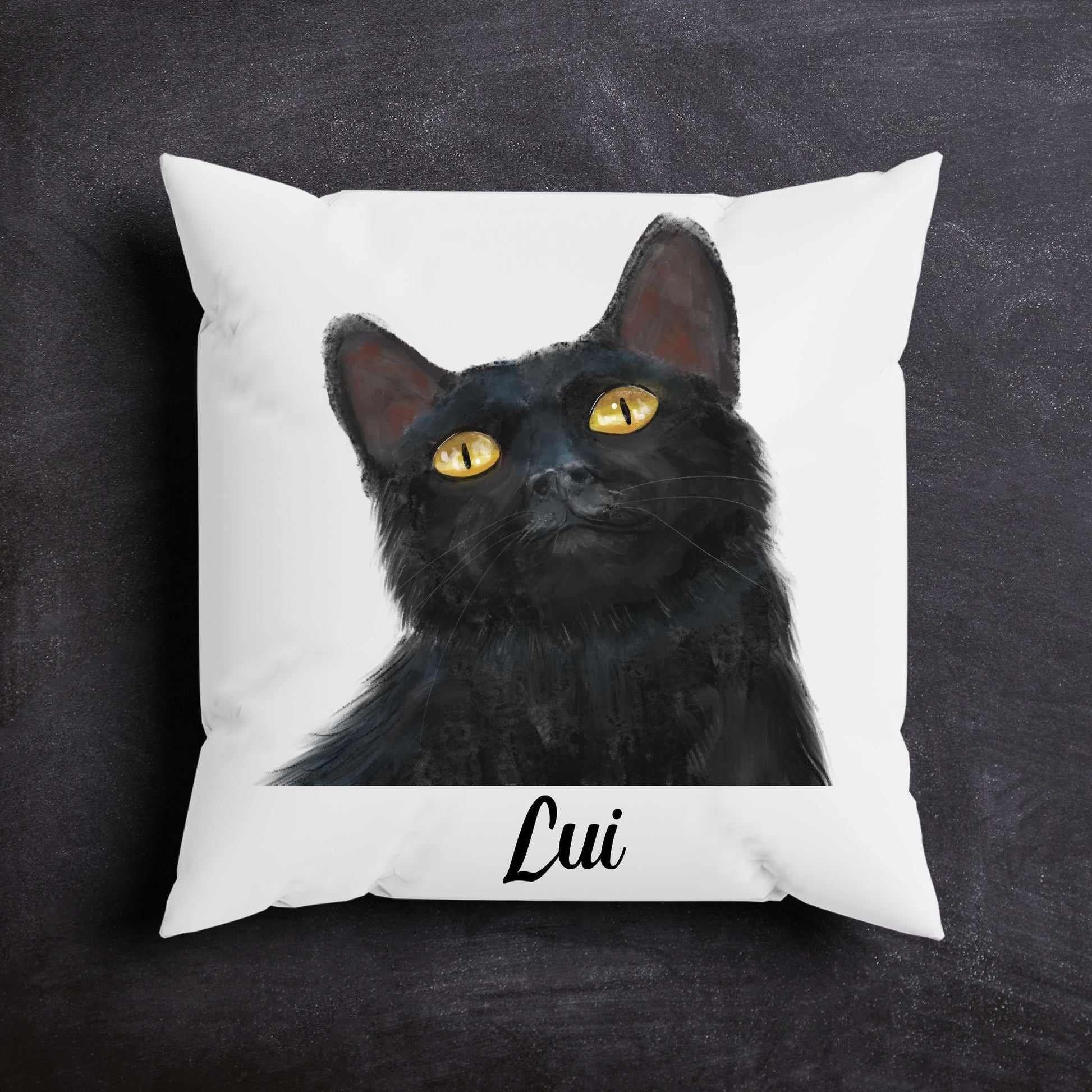 Black Cat Pillow - MerikaArt