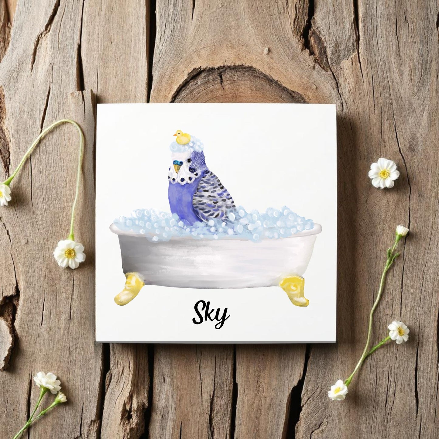Blue Budgie in Bubble Bath Ceramic Tile – Handcrafted Bird Lover Decor - MerikaArt