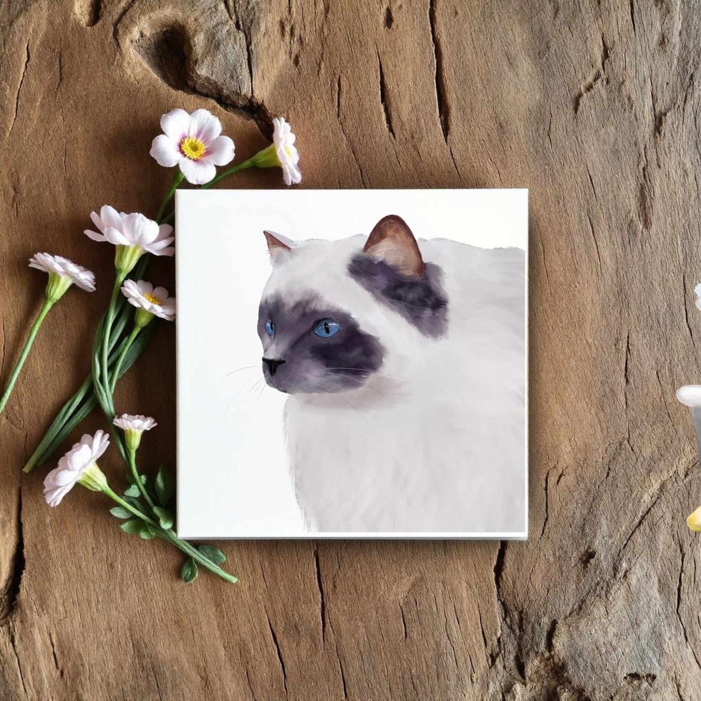 Blue - Eyed Ragdoll Cat Ceramic Tile - MerikaArt