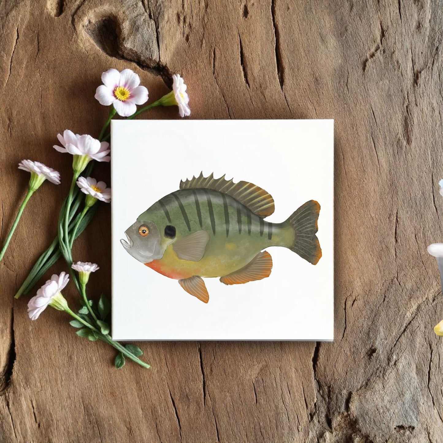 Bluegill Ceramic Tile – Handcrafted Freshwater Fish Decor - MerikaArt