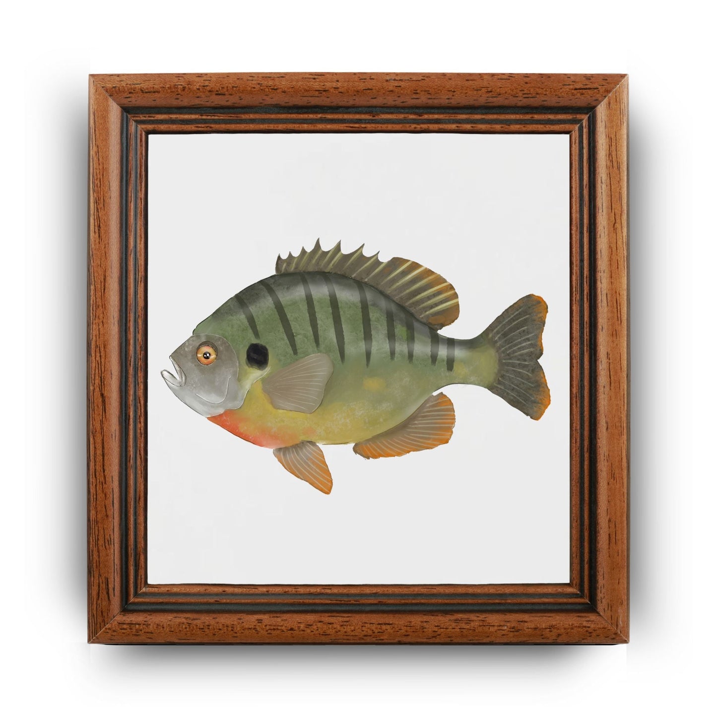 Bluegill Ceramic Tile – Handcrafted Freshwater Fish Decor - MerikaArt
