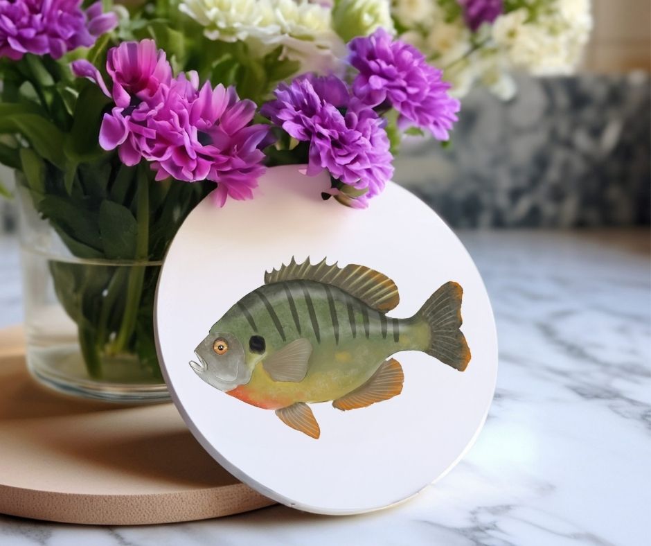 Bluegill Sunfish Ceramic Coaster - MerikaArt