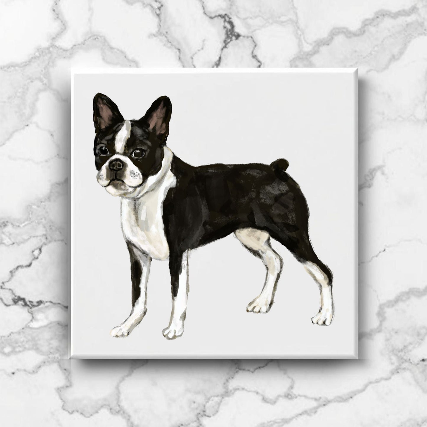 Boston Terrier Ceramic Tile - MerikaArt