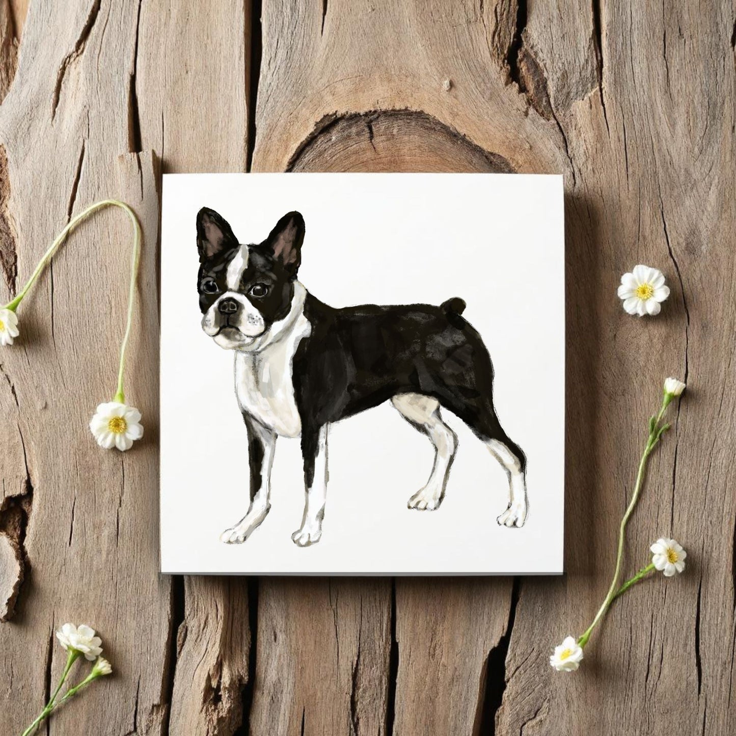 Boston Terrier Ceramic Tile - MerikaArt