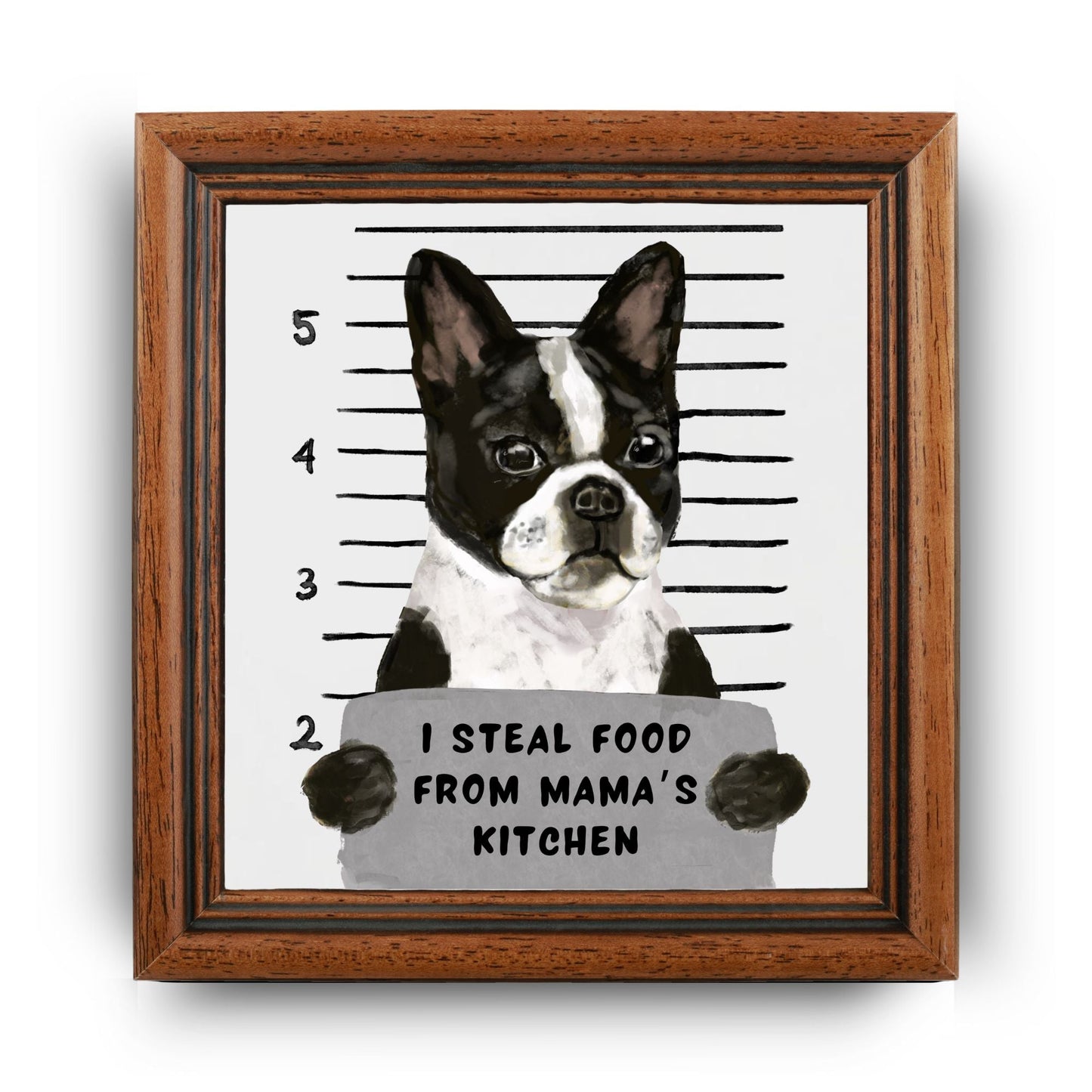 Boston Terrier Mugshot Ceramic Tile - MerikaArt
