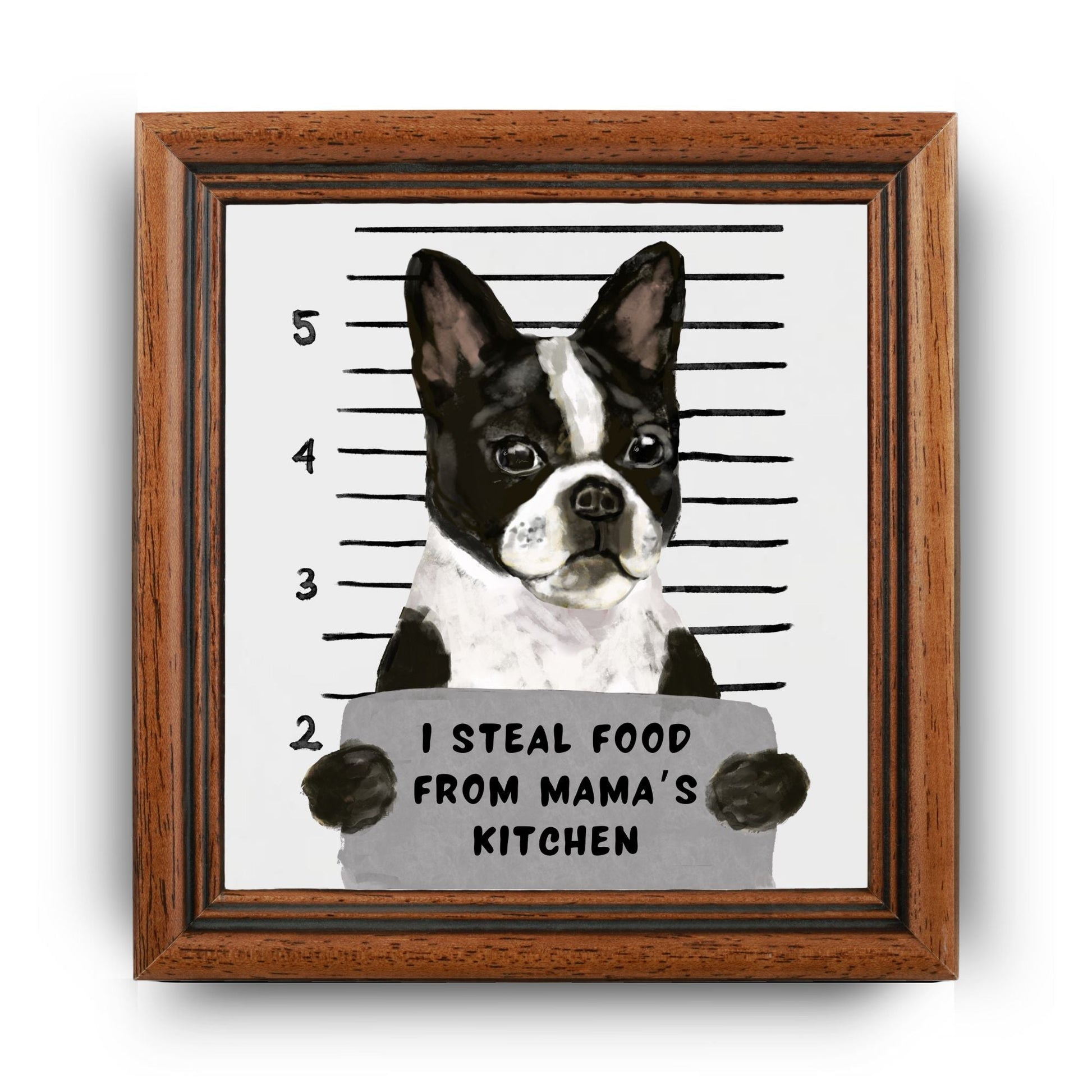Boston Terrier Mugshot Ceramic Tile - MerikaArt
