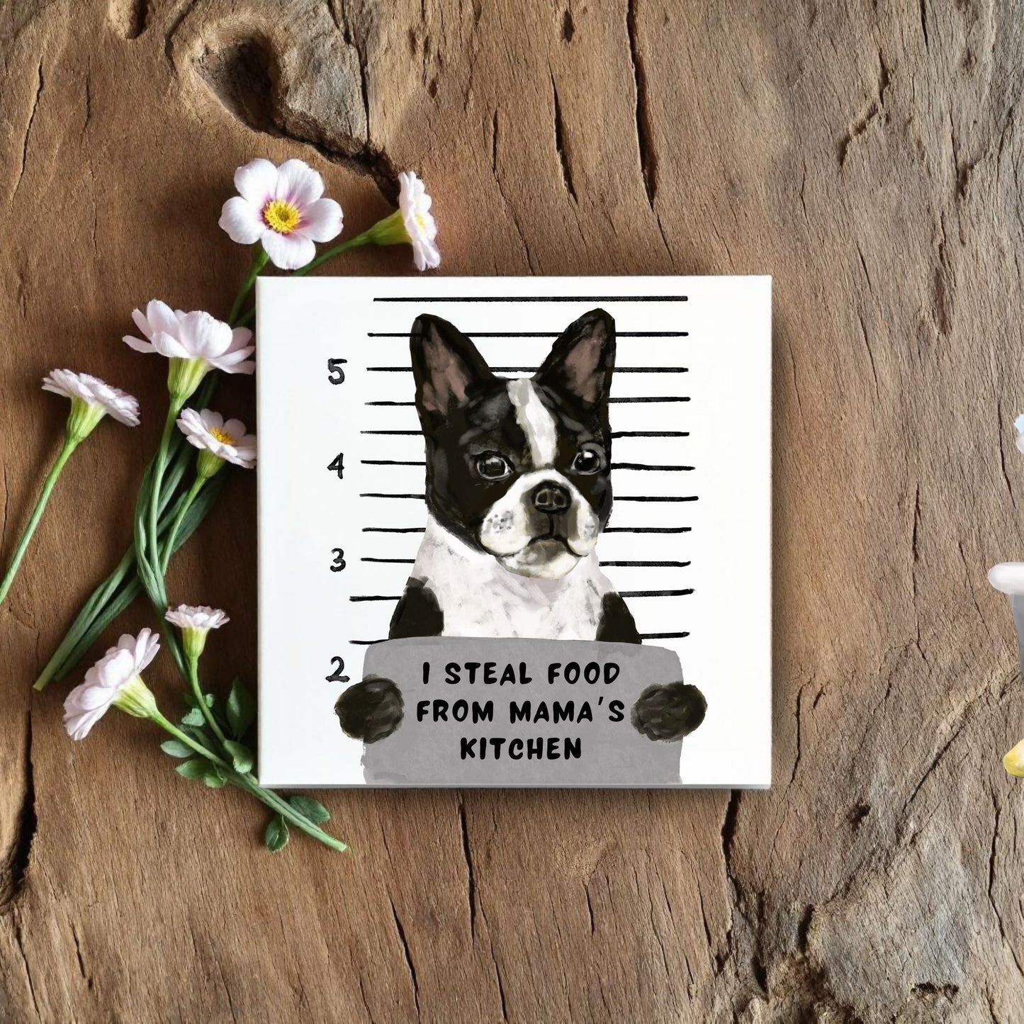 Boston Terrier Mugshot Ceramic Tile - MerikaArt
