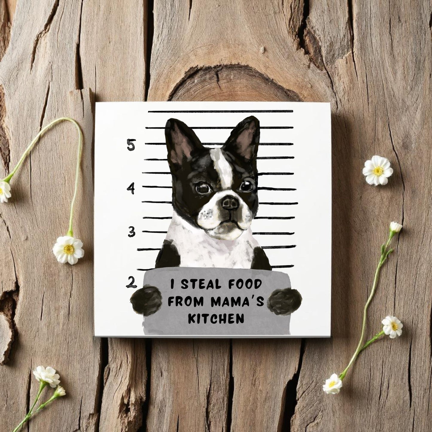 Boston Terrier Mugshot Ceramic Tile - MerikaArt