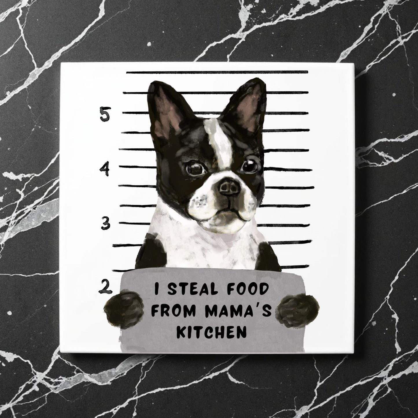Boston Terrier Mugshot Ceramic Tile - MerikaArt