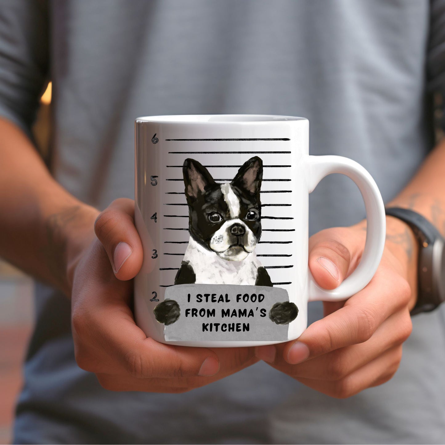 Boston Terrier Mugshot Mug - MerikaArt