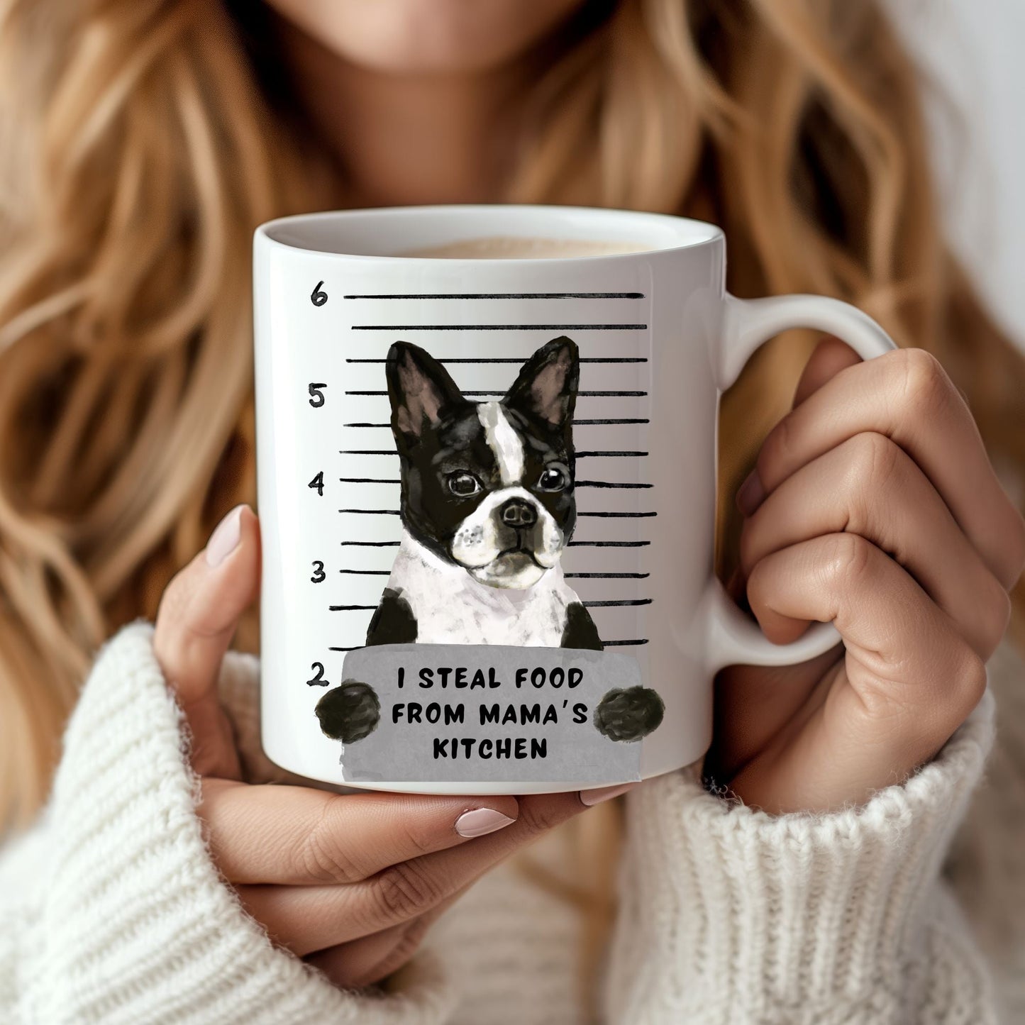 Boston Terrier Mugshot Mug - MerikaArt