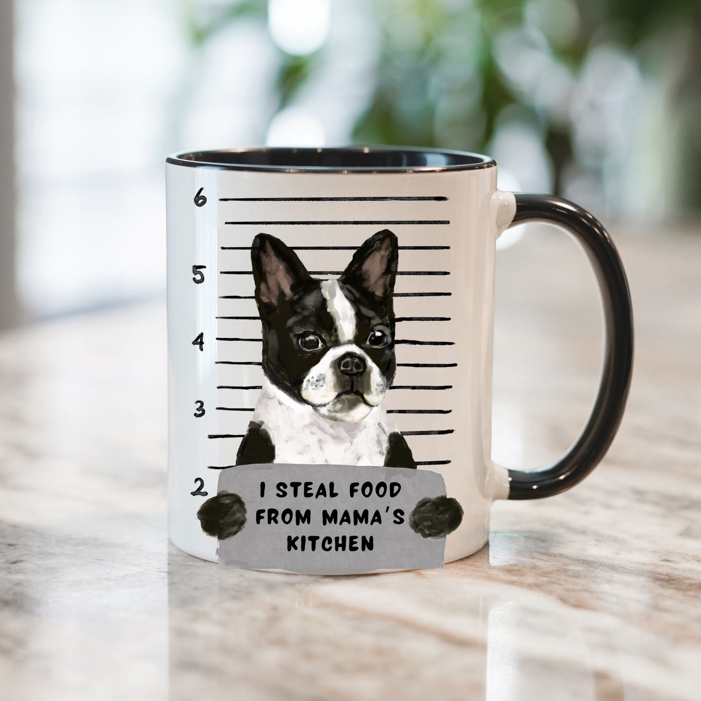 Boston Terrier Mugshot Mug - MerikaArt