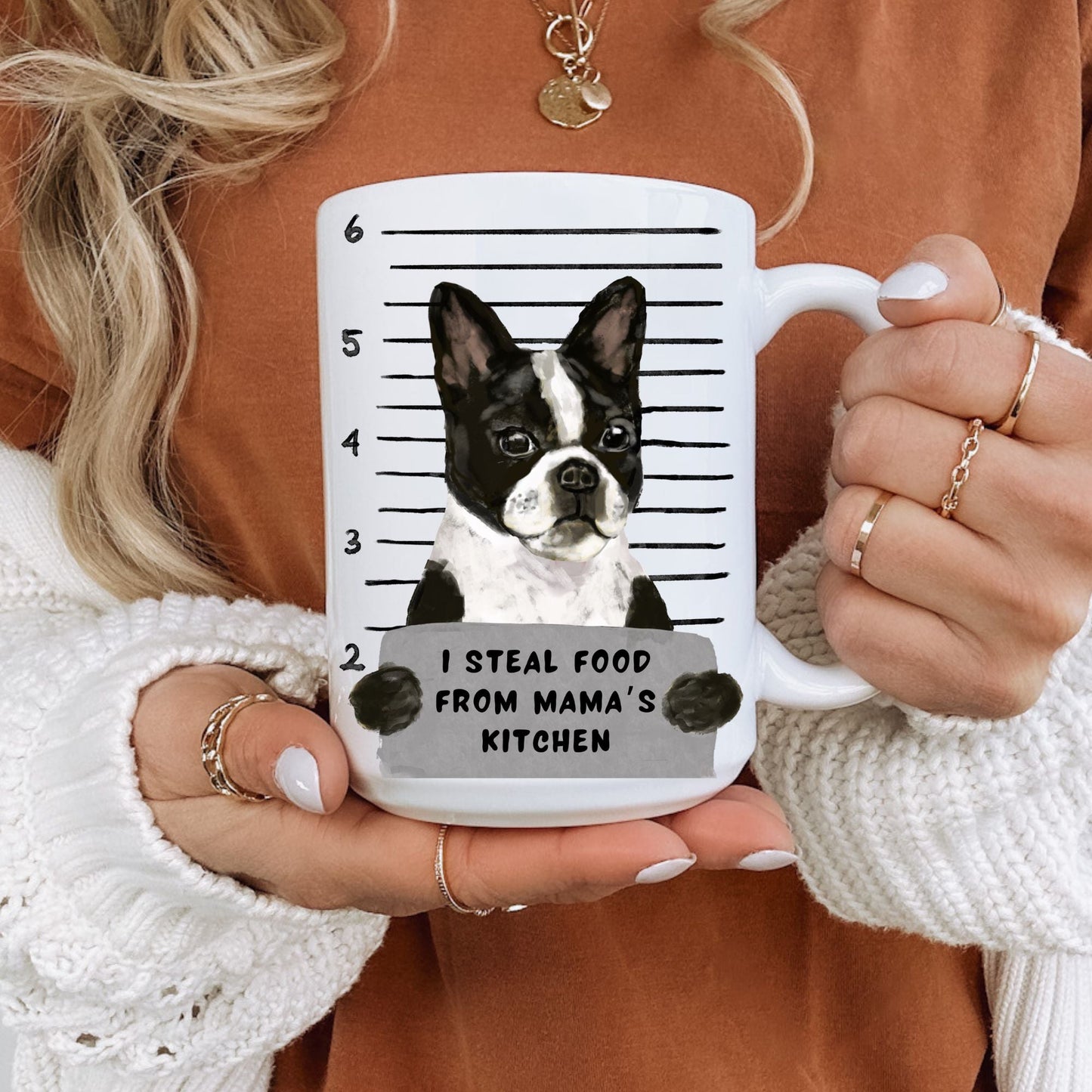 Boston Terrier Mugshot Mug - MerikaArt