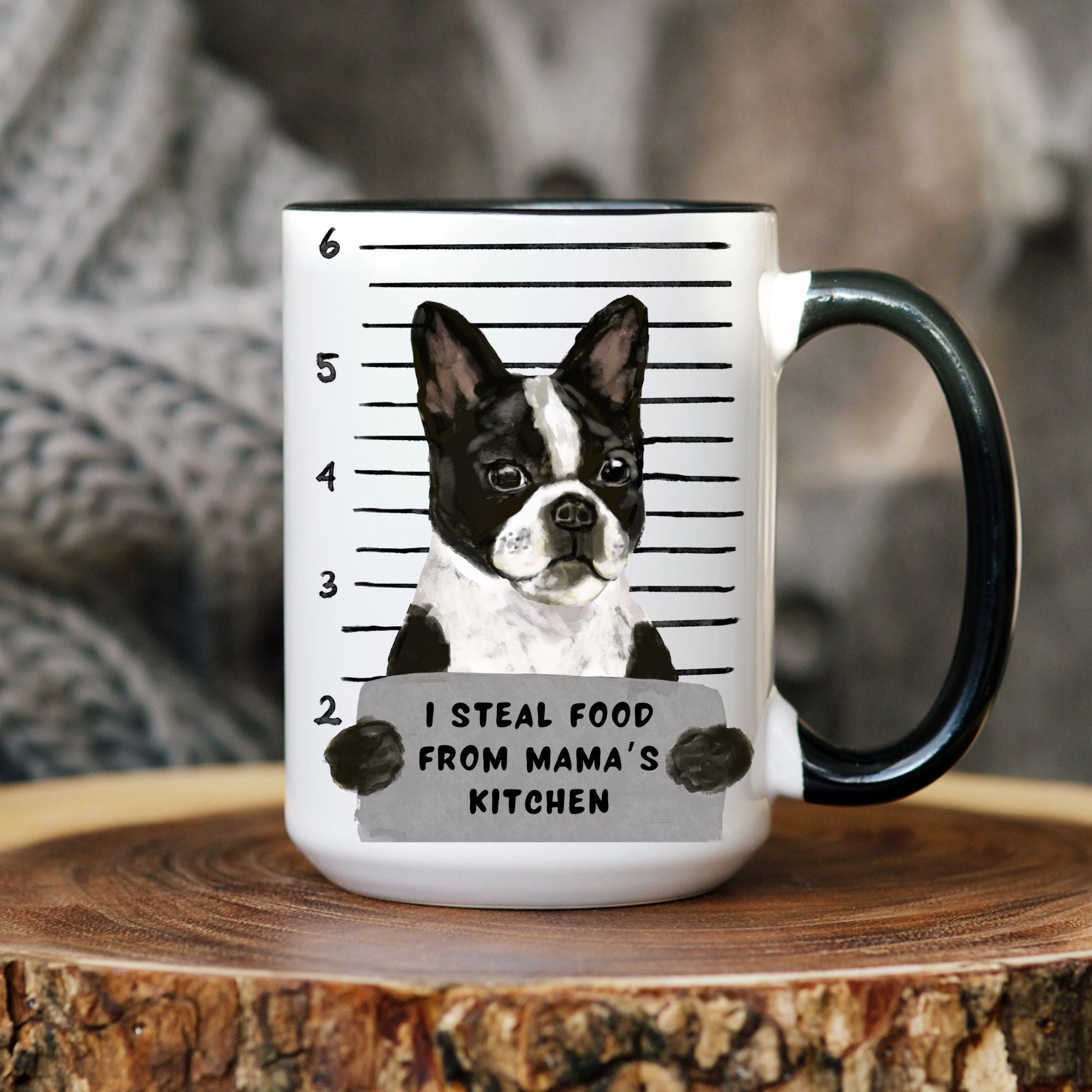 Boston Terrier Mugshot Mug - MerikaArt