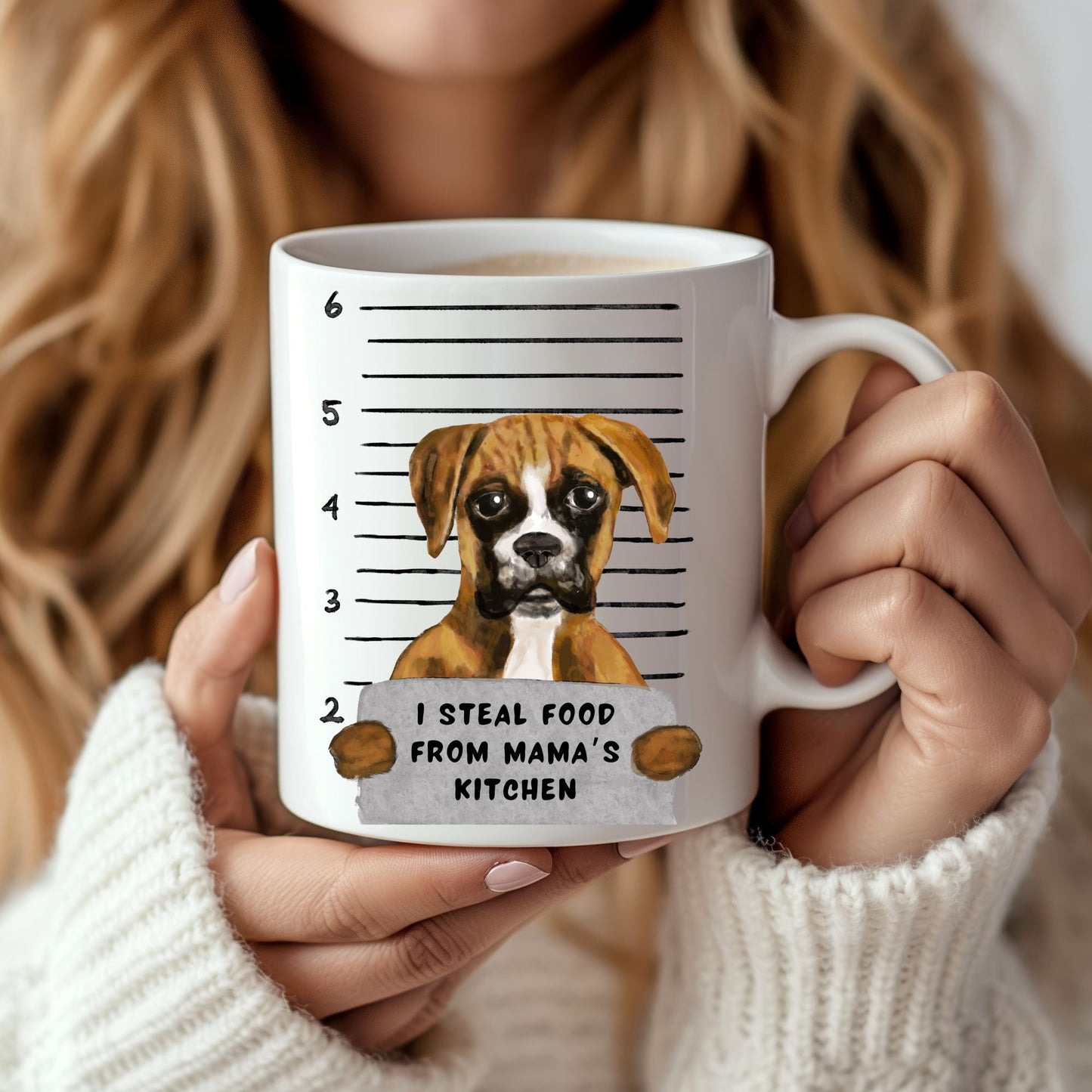 Boxer Dog Mugshot Mug - MerikaArt