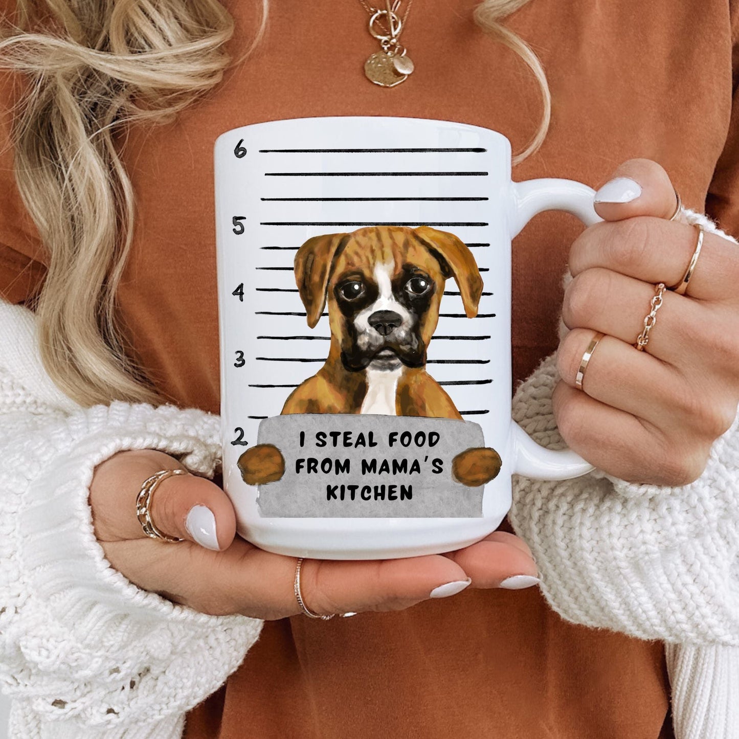 Boxer Dog Mugshot Mug - MerikaArt