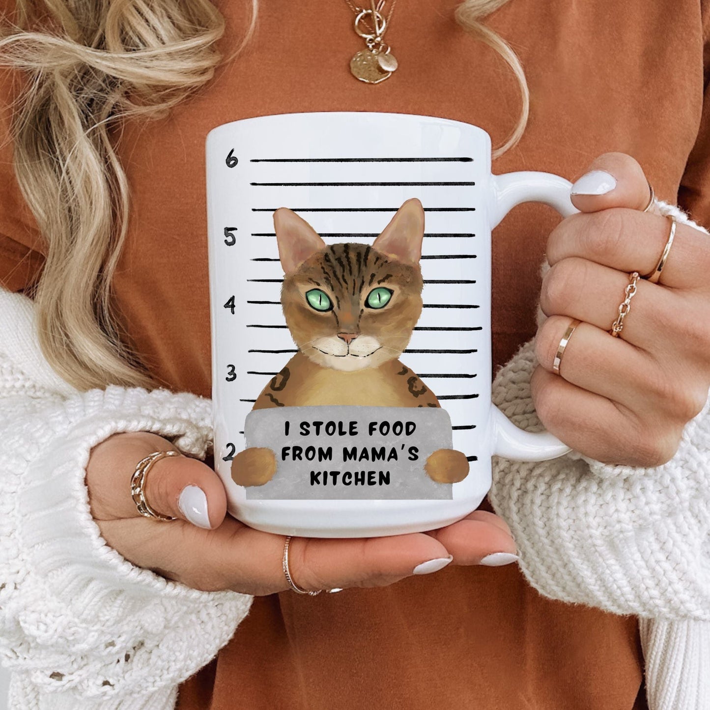 Brown Tabby Cat Mugshot Mug - MerikaArt