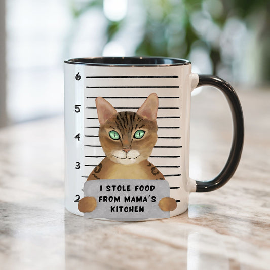 Brown Tabby Cat Mugshot Mug - MerikaArt