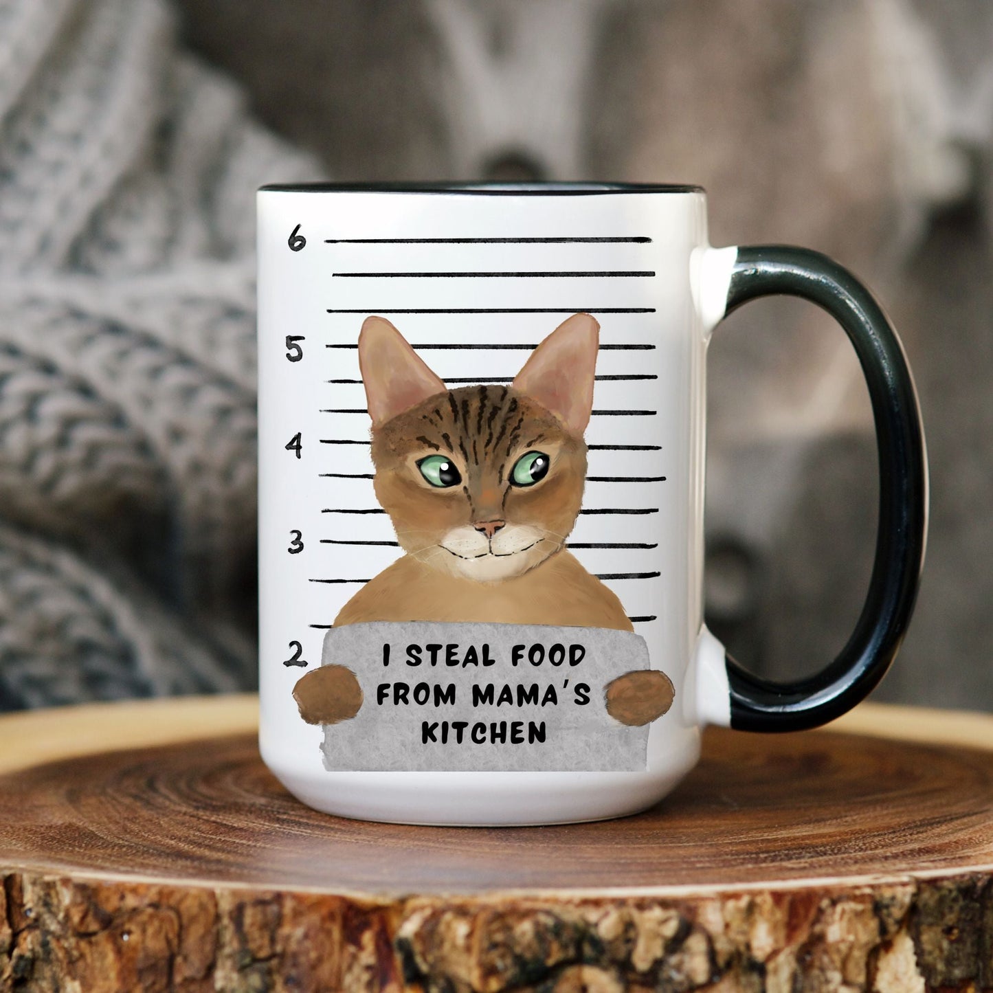 Brown Tabby Cat Mugshot Mug - MerikaArt