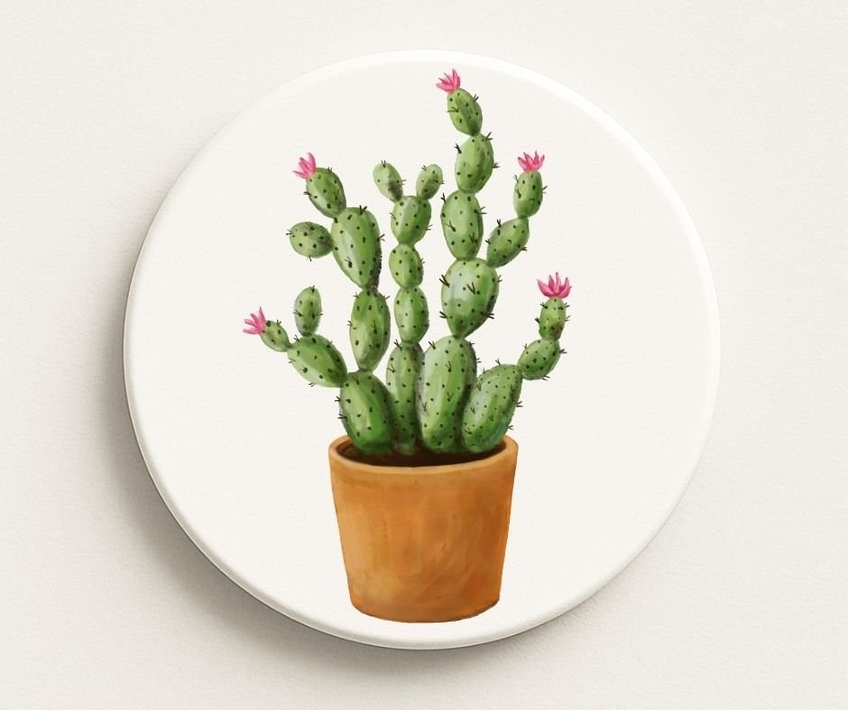 Cactus Ceramic Coaster – Hand-Drawn Succulent Plant Kitchen Décor –  MerikaArt