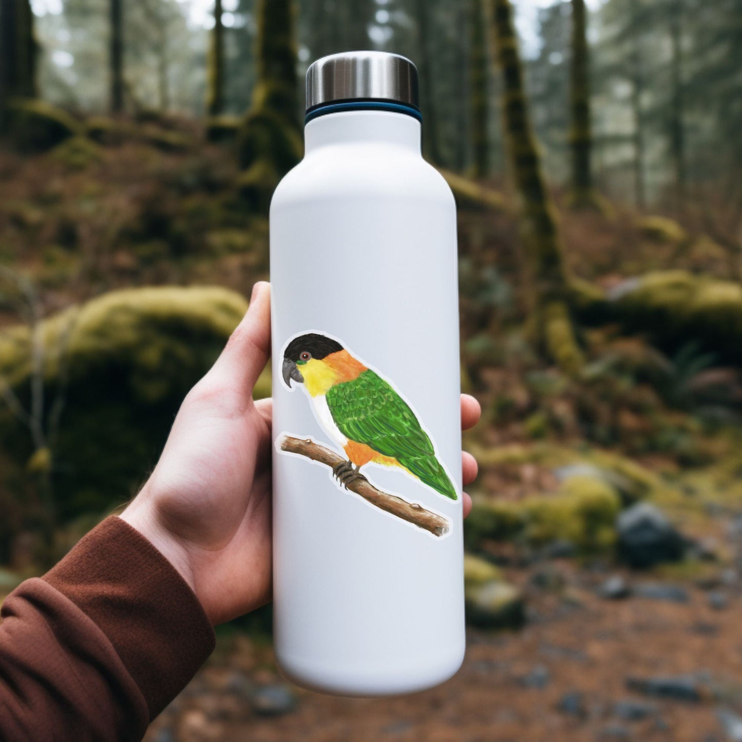 Caique Parrot Sticker - MerikaArt