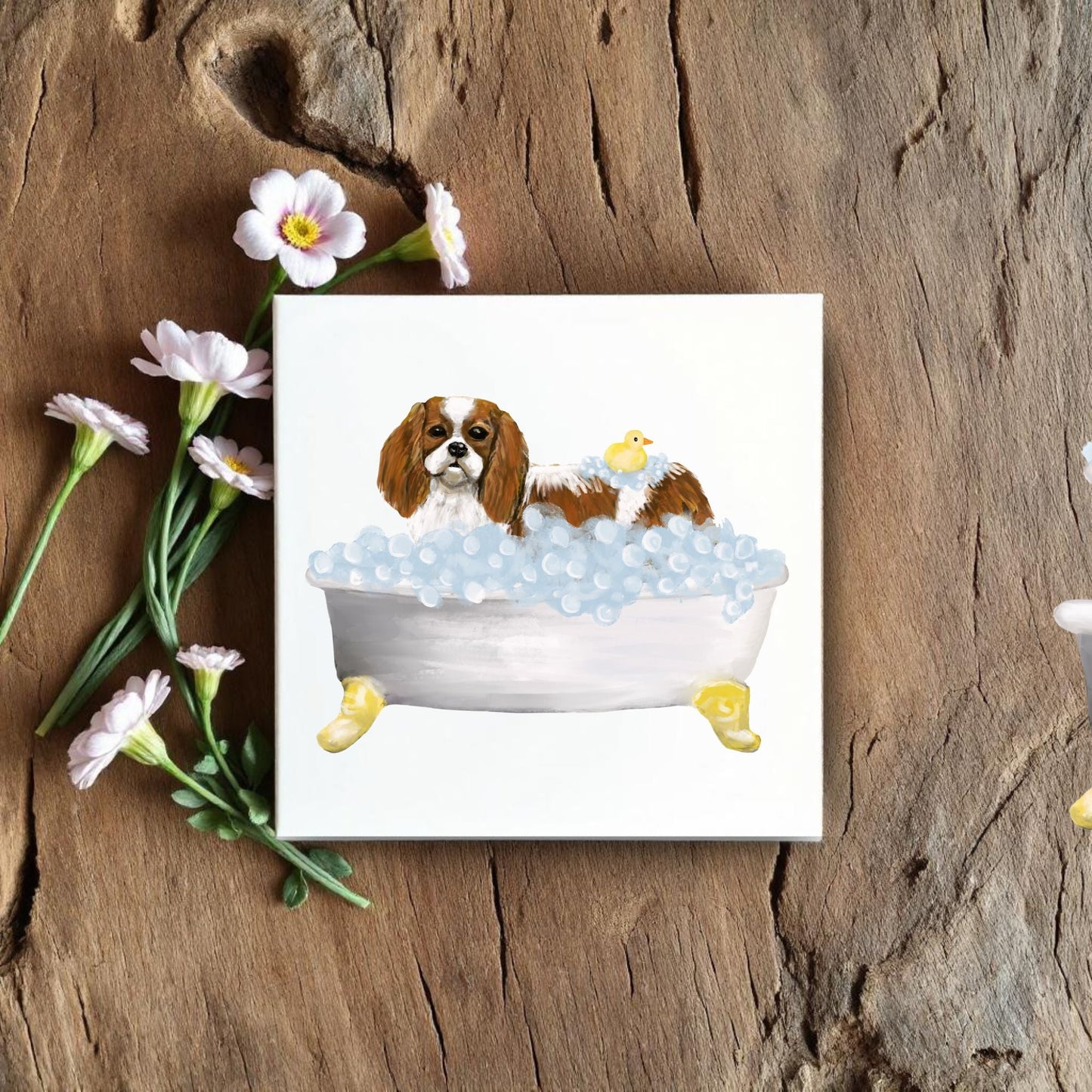 Cavalier King Charles Spaniel Ceramic Tile - MerikaArt