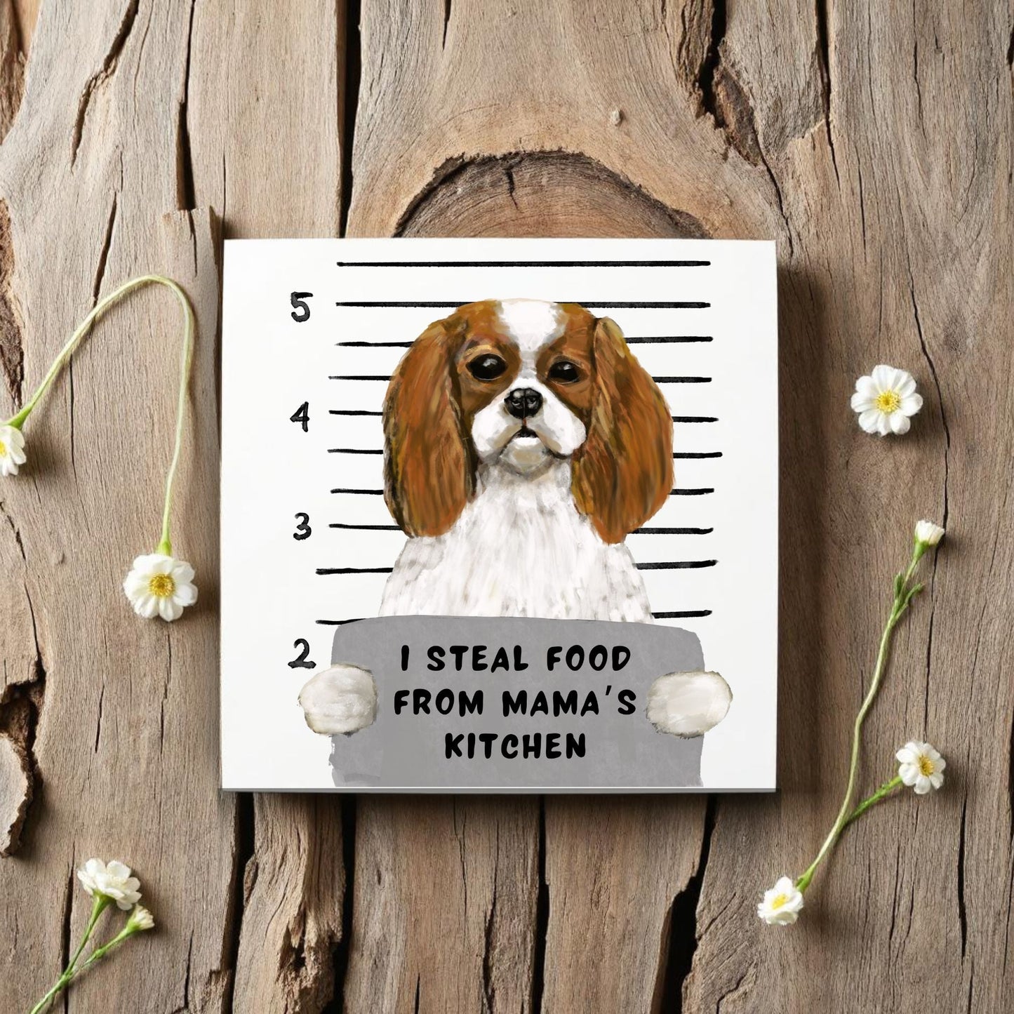Cavalier King Charles Spaniel Mugshot Tile - MerikaArt