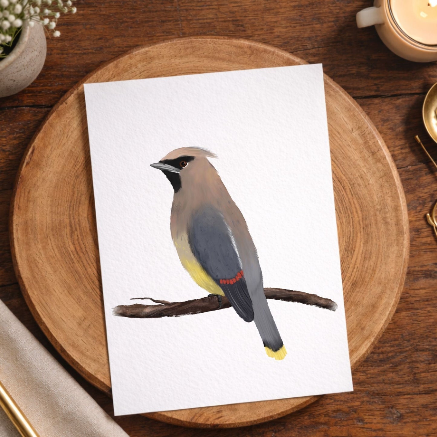 Cedar Waxwing Postcard - MerikaArt