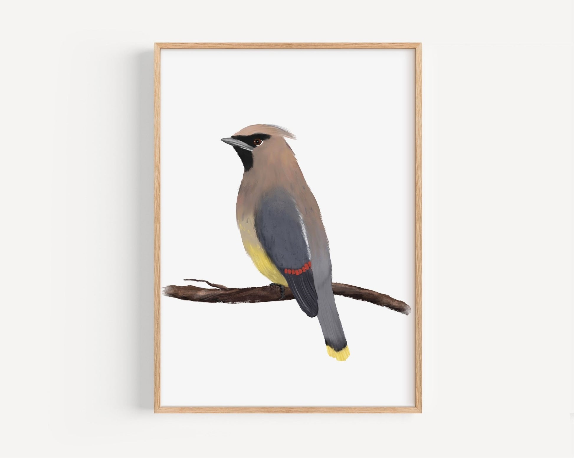 Cedar Waxwing Wall Art Print – Elegant Songbird Illustration for Nature Lovers - MerikaArt