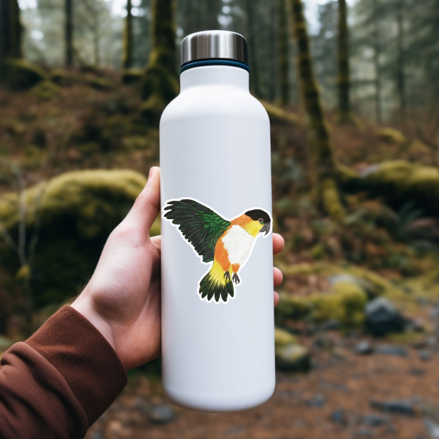 Colorful Caique Parrot Sticker - MerikaArt