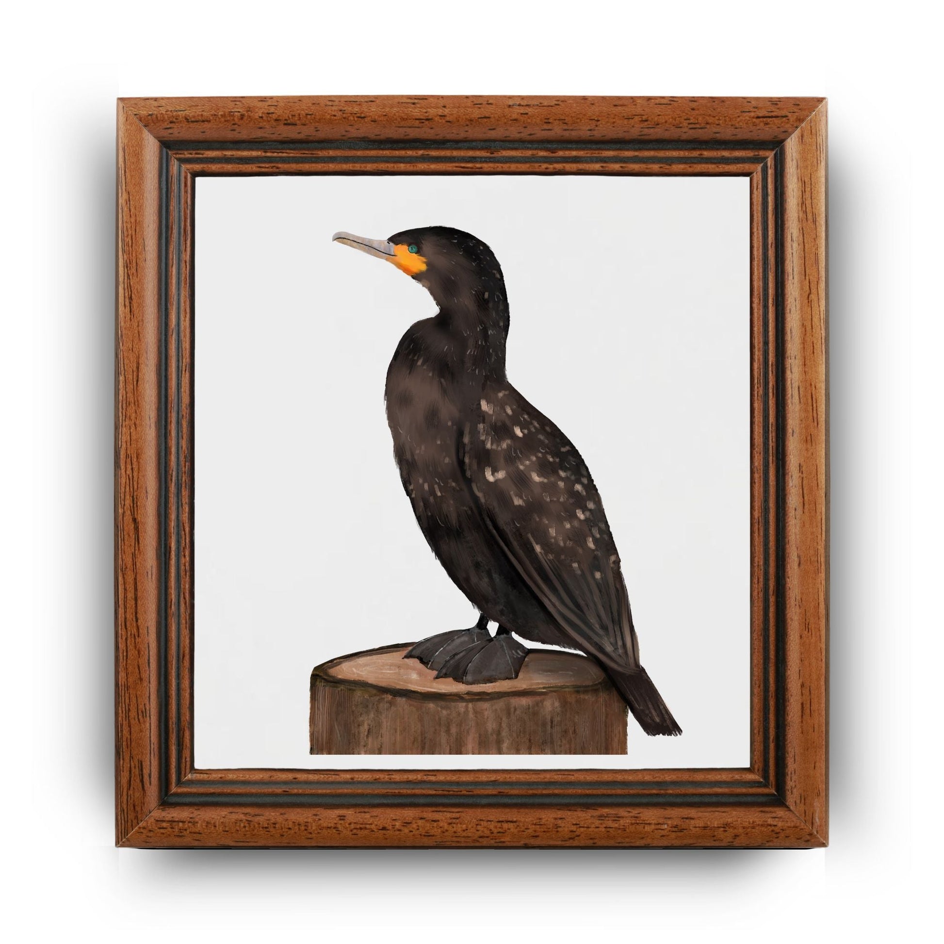 Cormorant Bird Ceramic Tile - MerikaArt