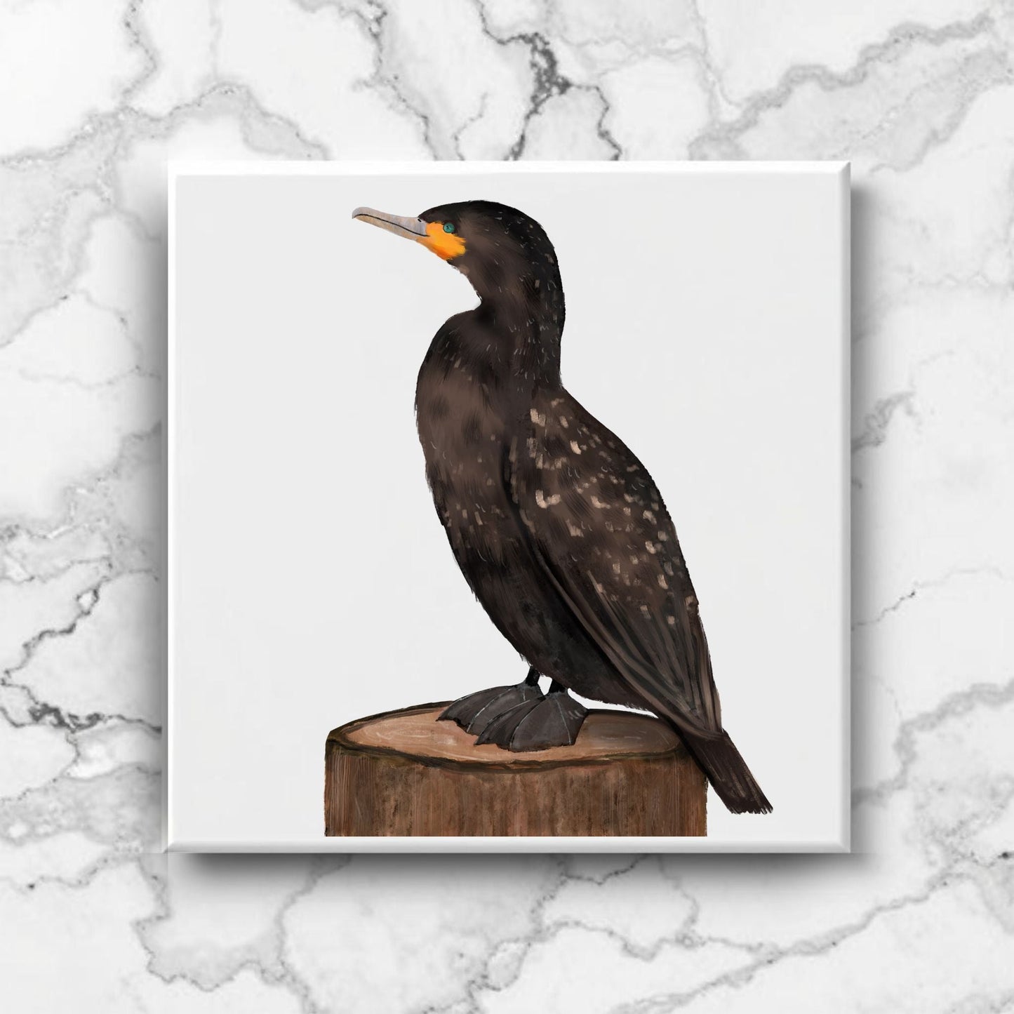Cormorant Bird Ceramic Tile - MerikaArt