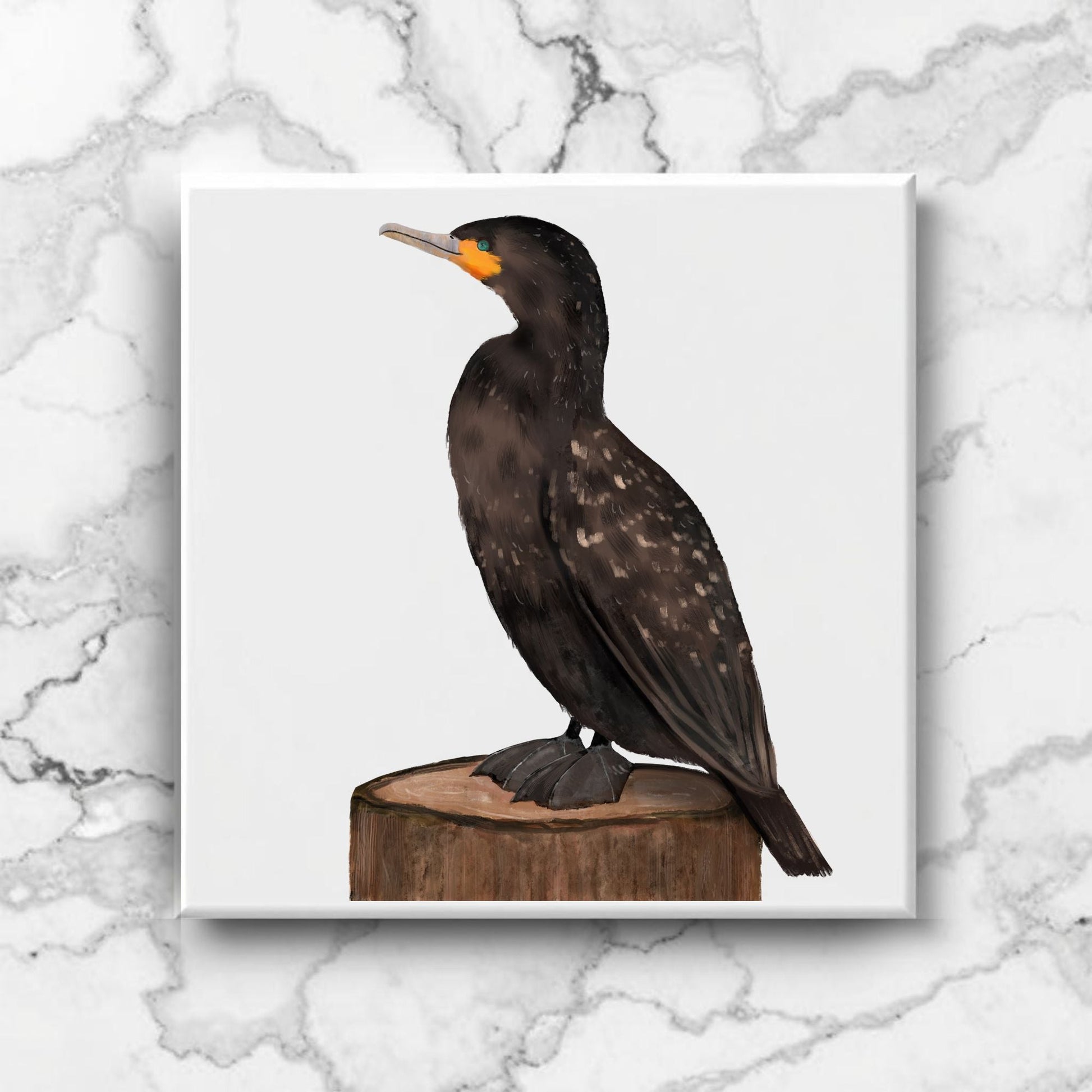 Cormorant Bird Ceramic Tile - MerikaArt