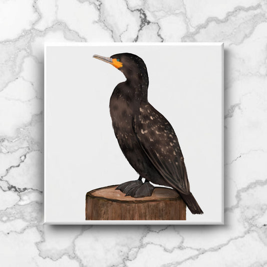 Cormorant Bird Ceramic Tile - MerikaArt