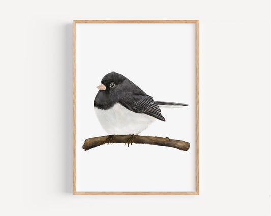 Dark - eyed Junco Wall Art Print – Black and White Songbird Illustration for Nature Lovers - MerikaArt