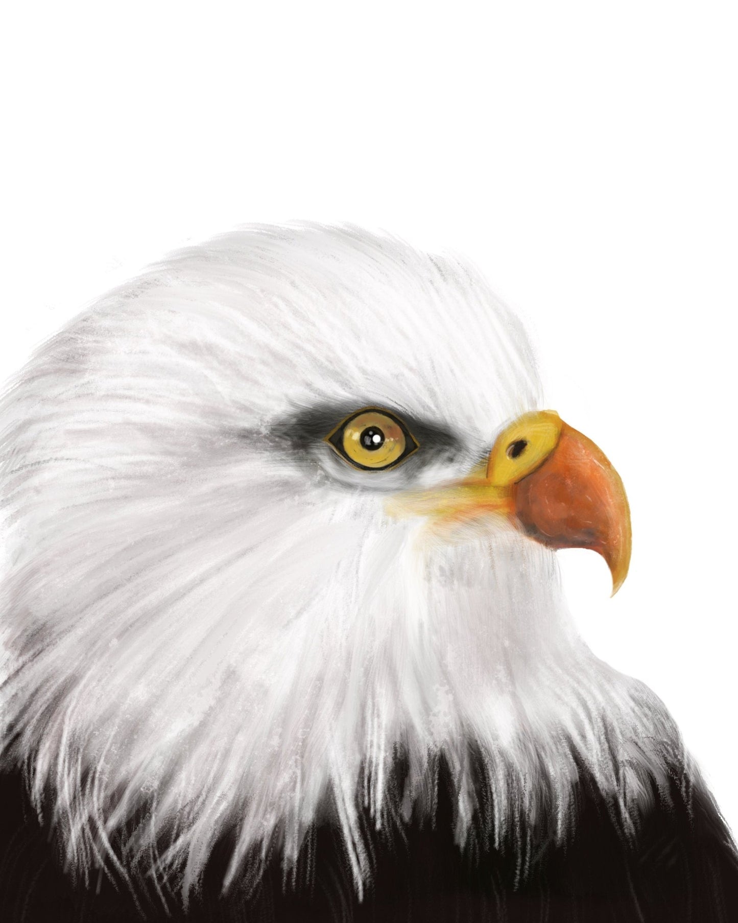 Eagle Art Print - MerikaArt