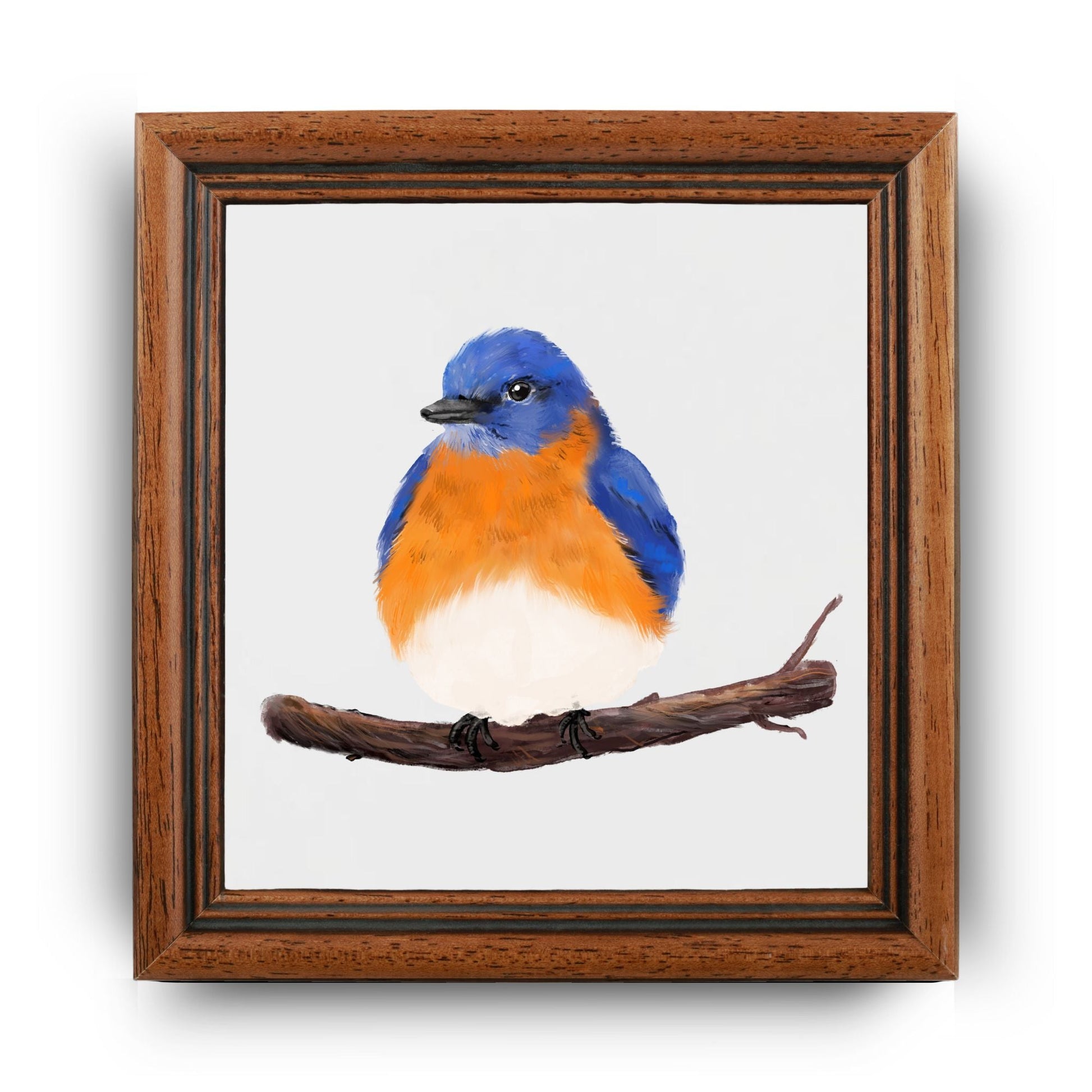 Eastern Bluebird Ceramic Tile - MerikaArt