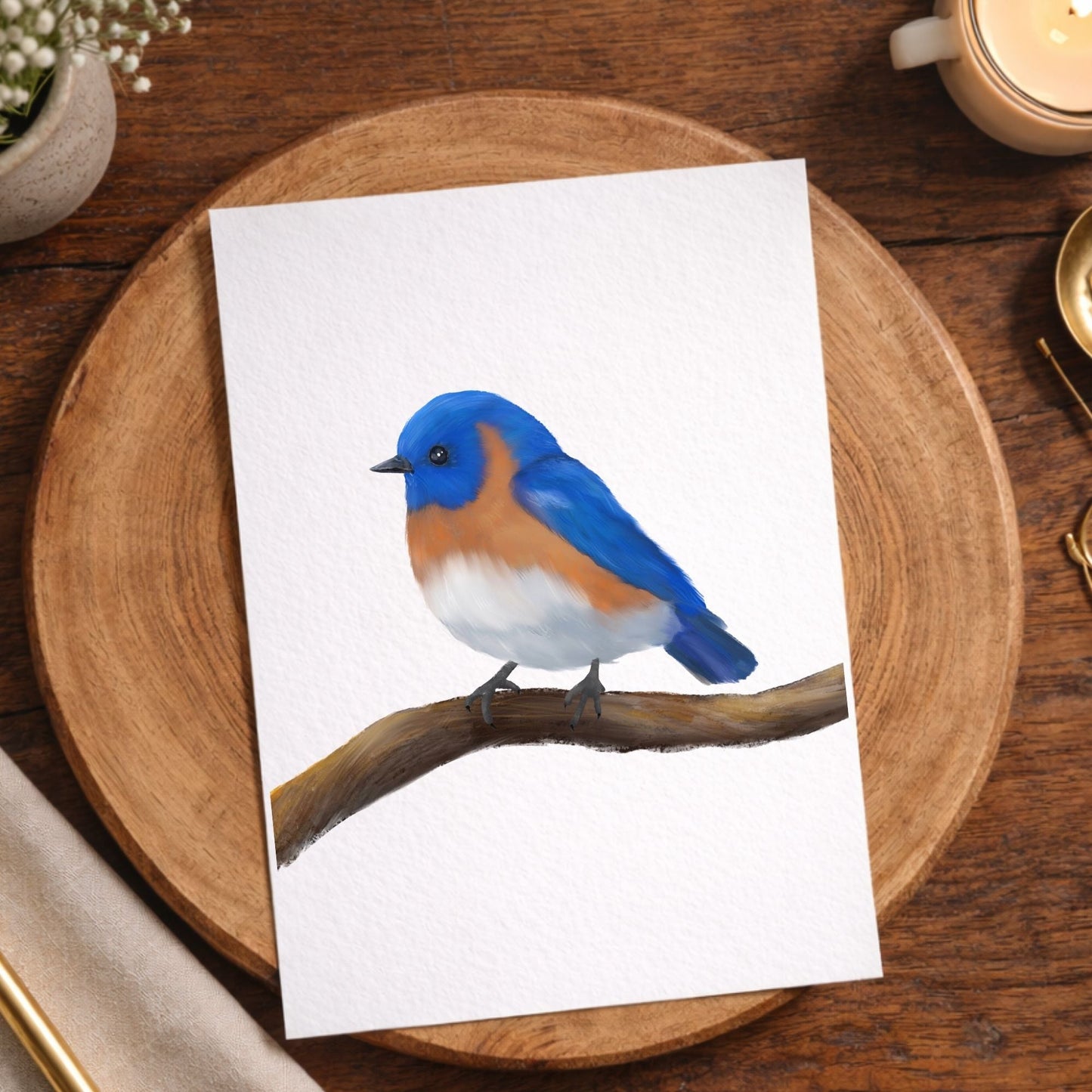 Eastern Bluebird on Branch Postcard - MerikaArt