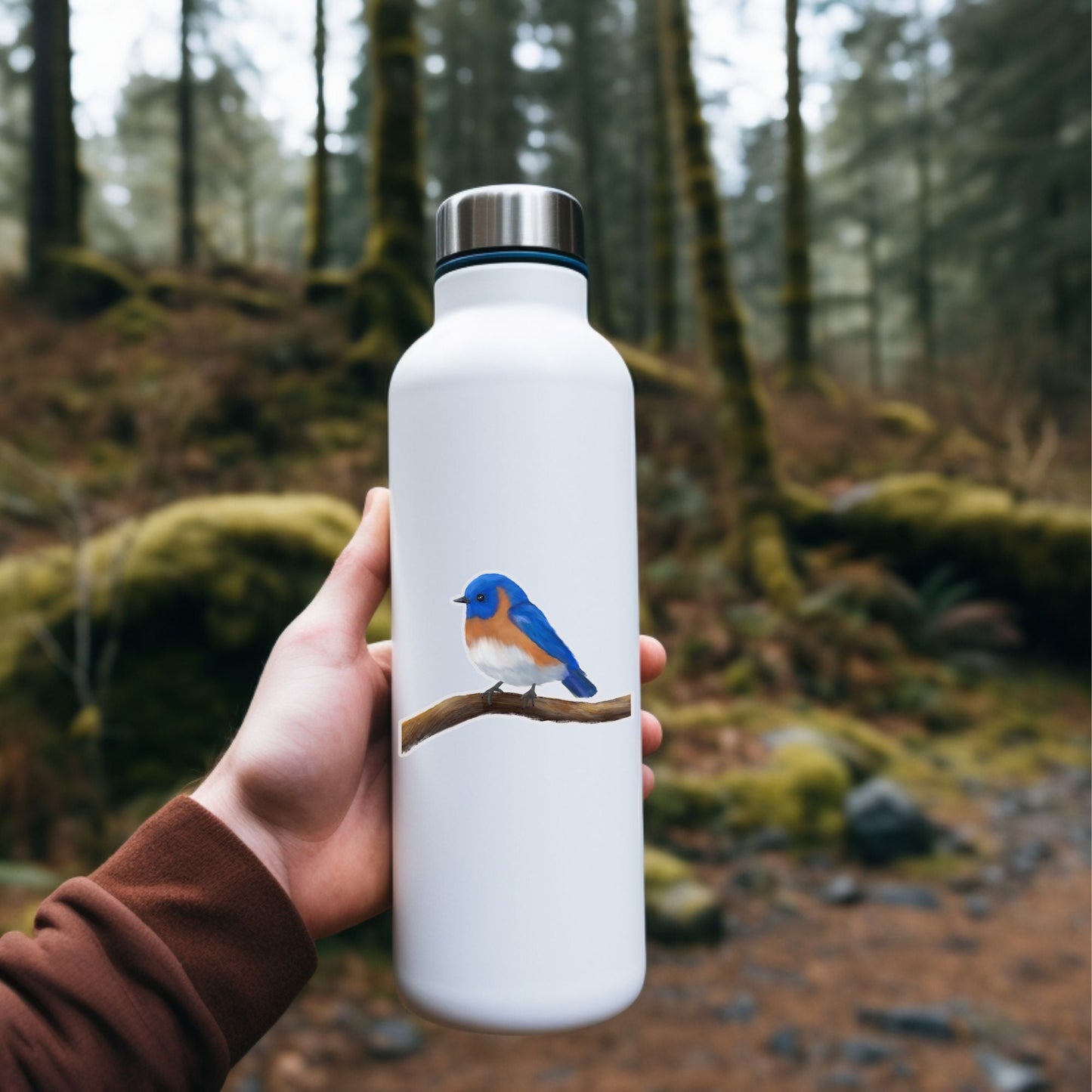 Eastern Bluebird Vinyl Sticker - MerikaArt