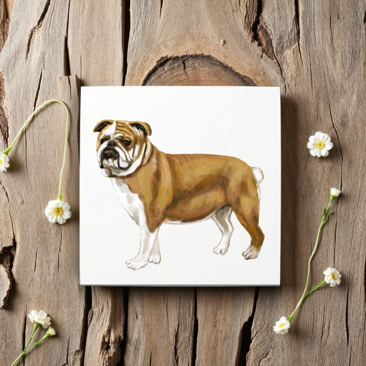 English Bulldog Ceramic Tile - MerikaArt