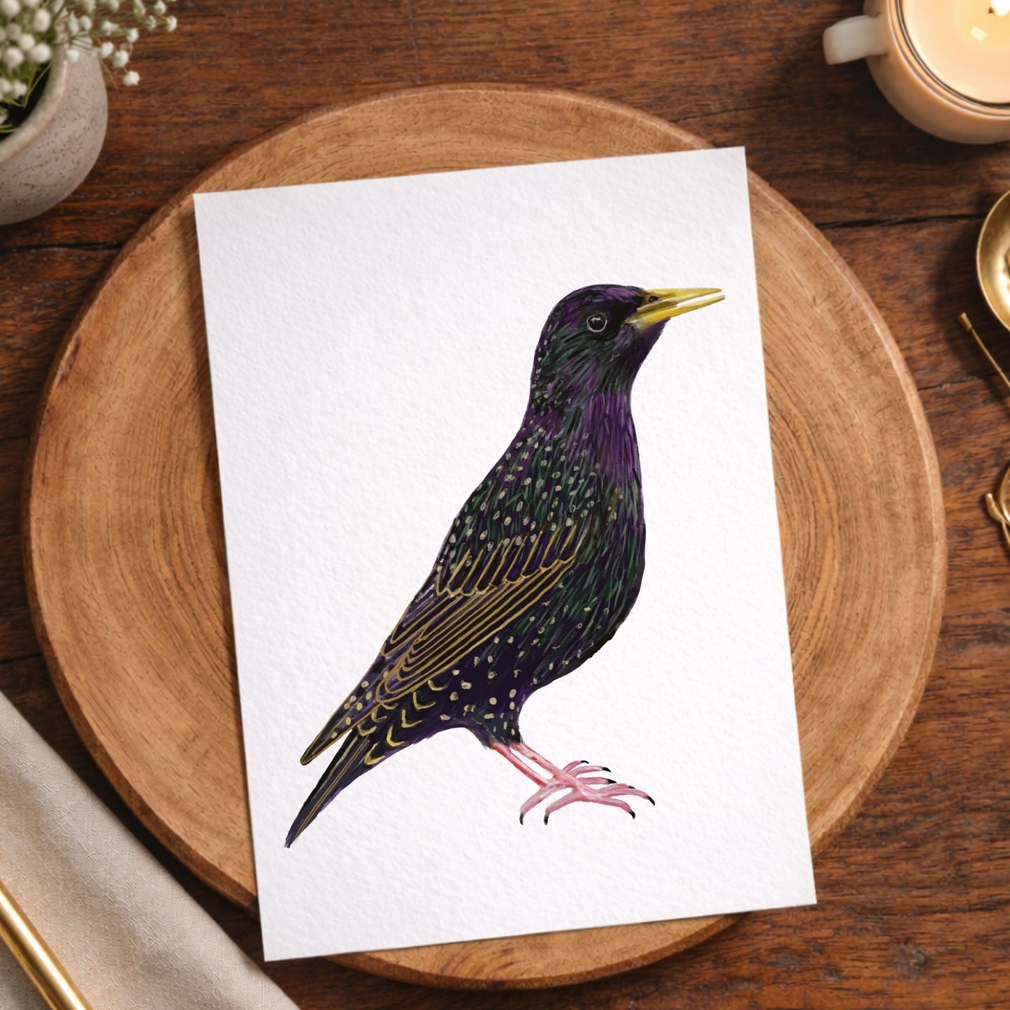 European Starling Postcard - MerikaArt
