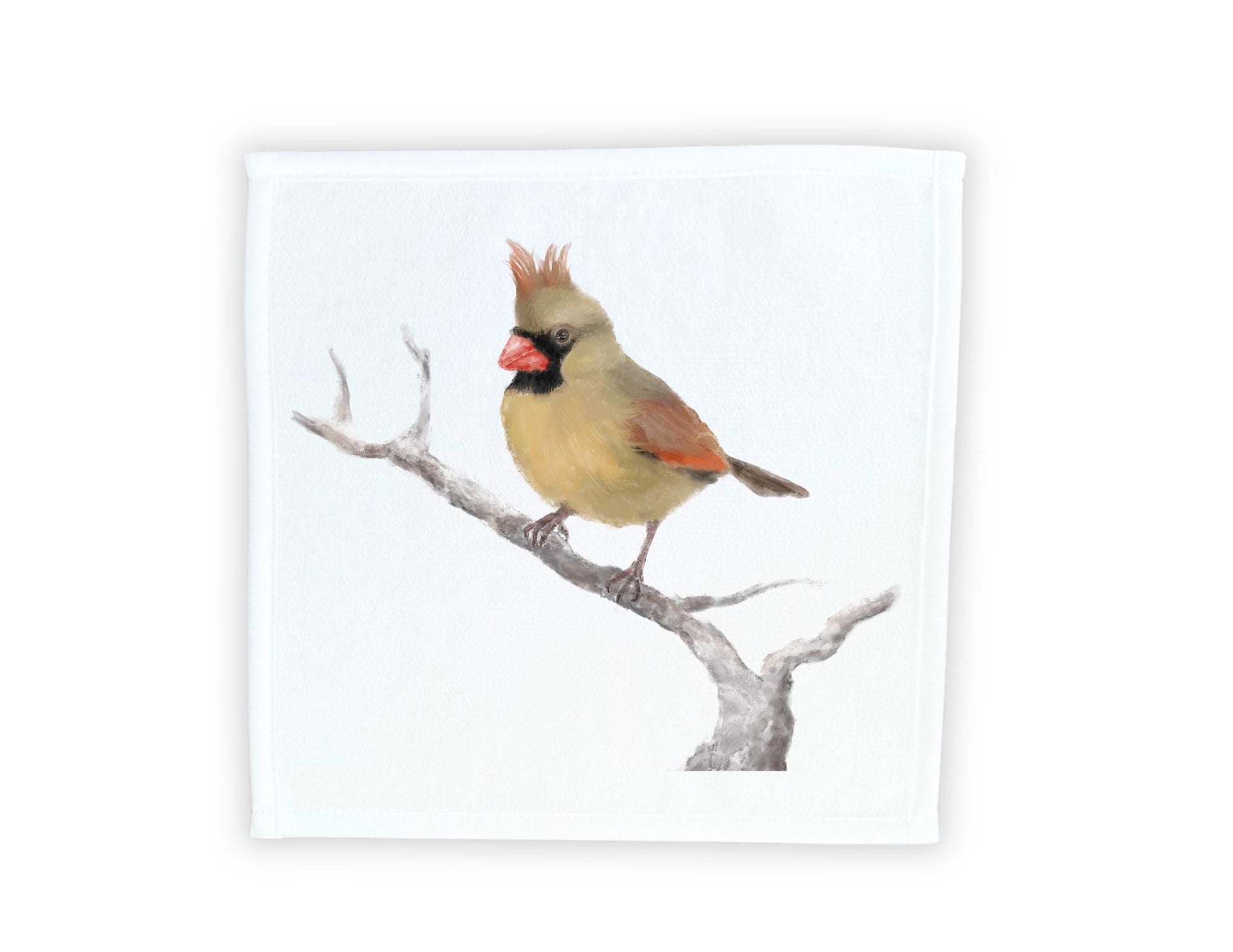 Female Cardinal on Branch Washcloth - MerikaArt