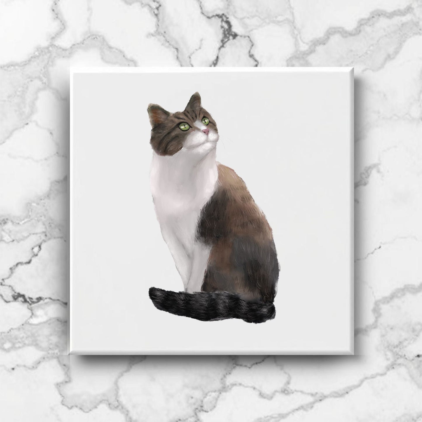 Fluffy Brown and White Cat Ceramic Tile - MerikaArt