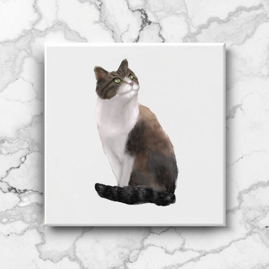 Fluffy Brown and White Cat Ceramic Tile - MerikaArt