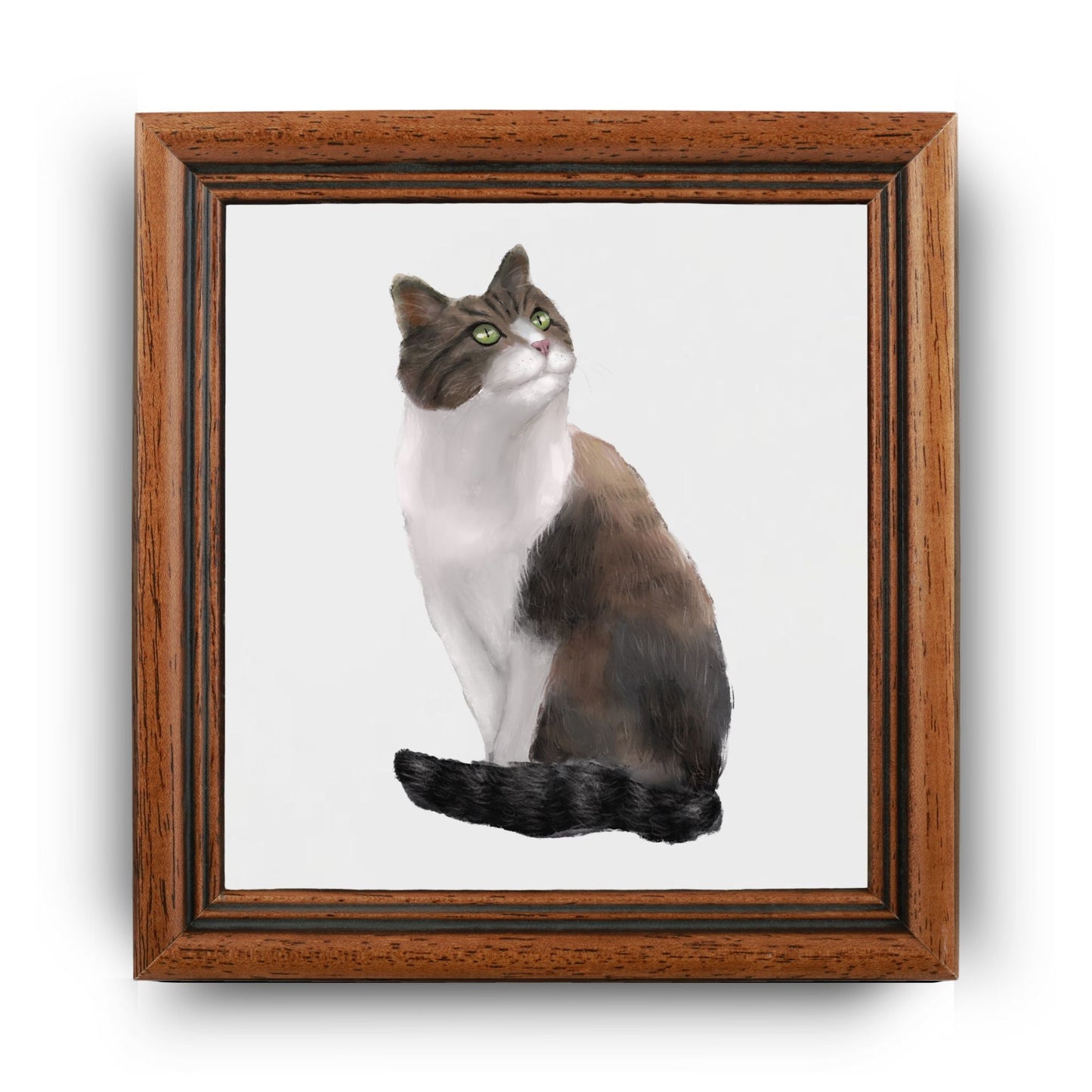 Fluffy Brown and White Cat Ceramic Tile - MerikaArt