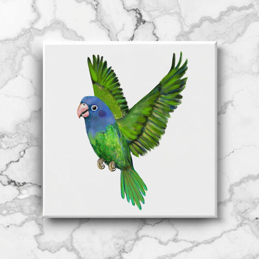 Flying Green Parrot Ceramic Tile - MerikaArt